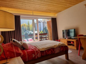 Magnifique studio rénové au coeur des 4 Vallées